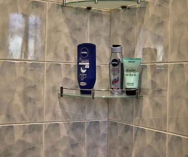 66 In דירה סופיה